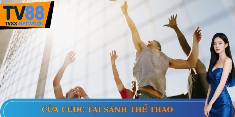 Ưu điểm sảnh thể thao